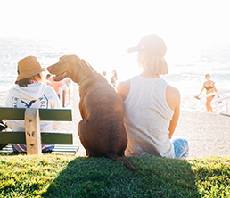 alvin-balemesa-105751-unsplash alvin-balemesa-105751-unsplash