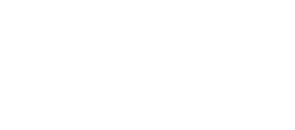 VOS - TLR Logo V02_White